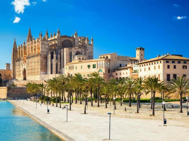 Palma