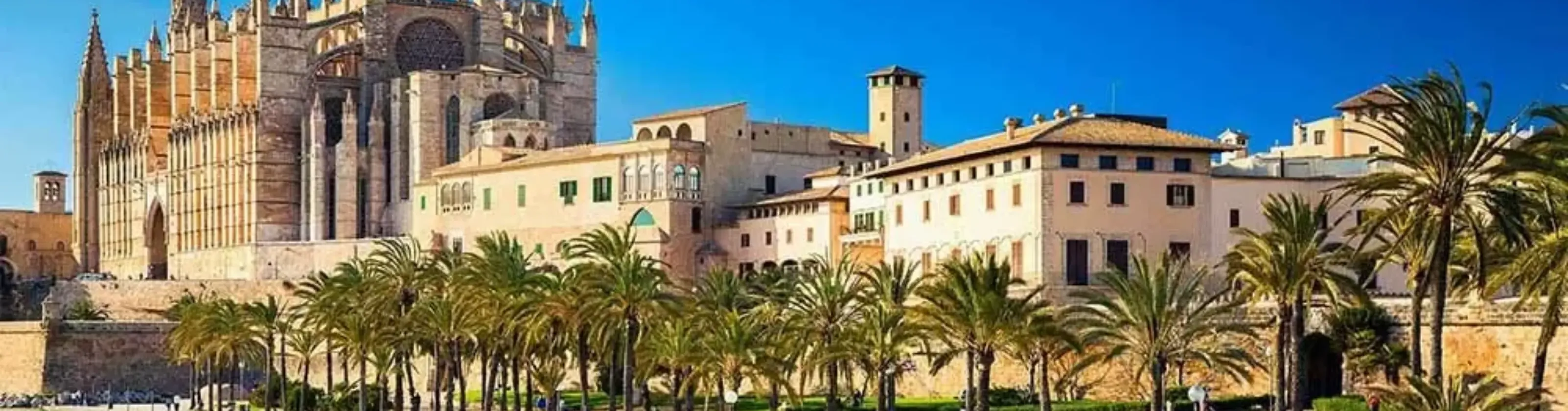 Stag Do Activities in Palma