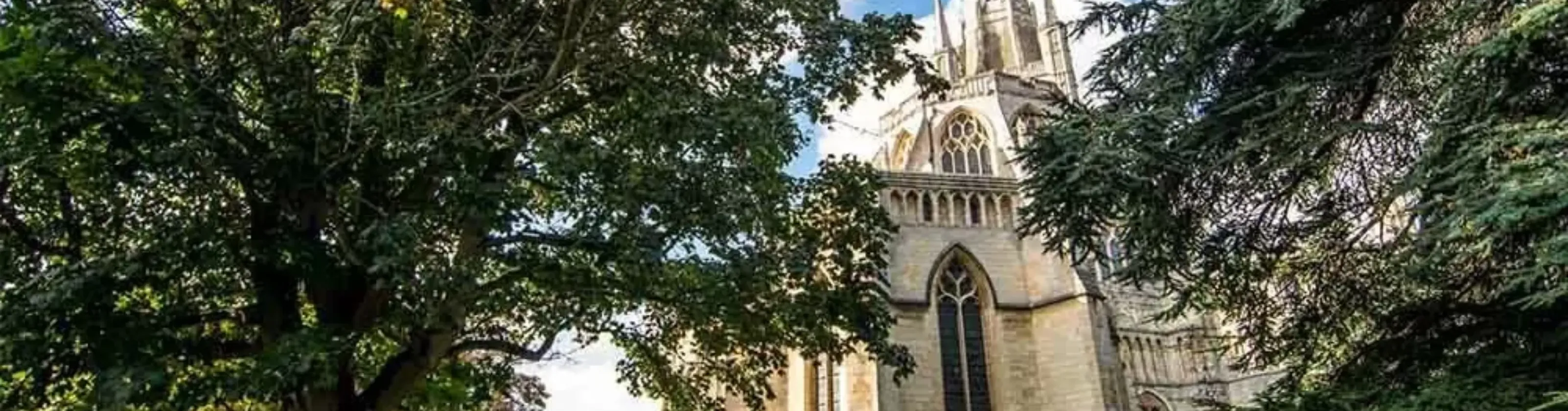 Norwich Group Activities & Weekends