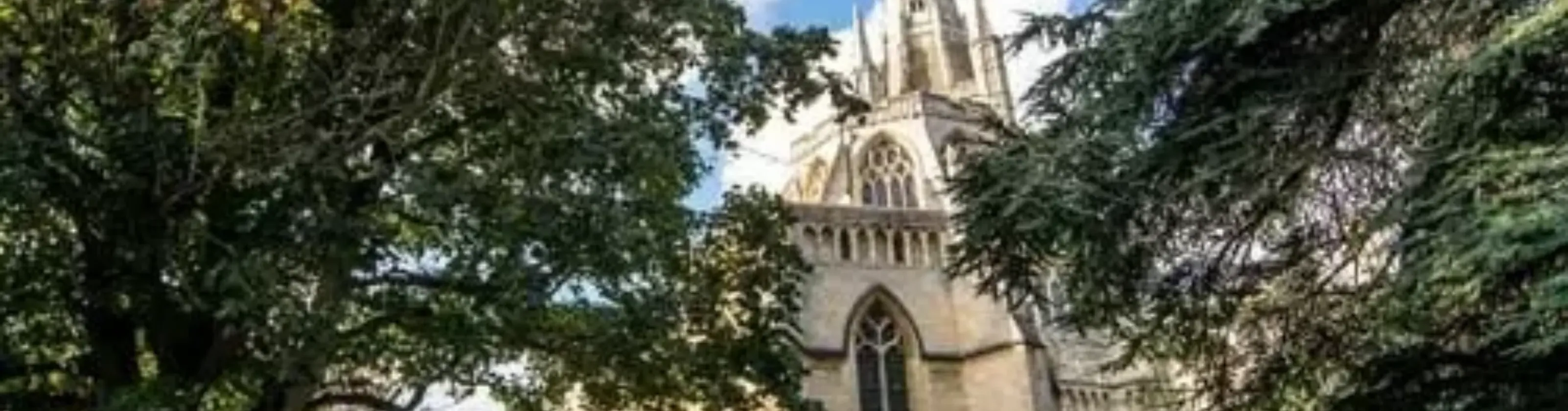 Stag Do Activities in Norwich