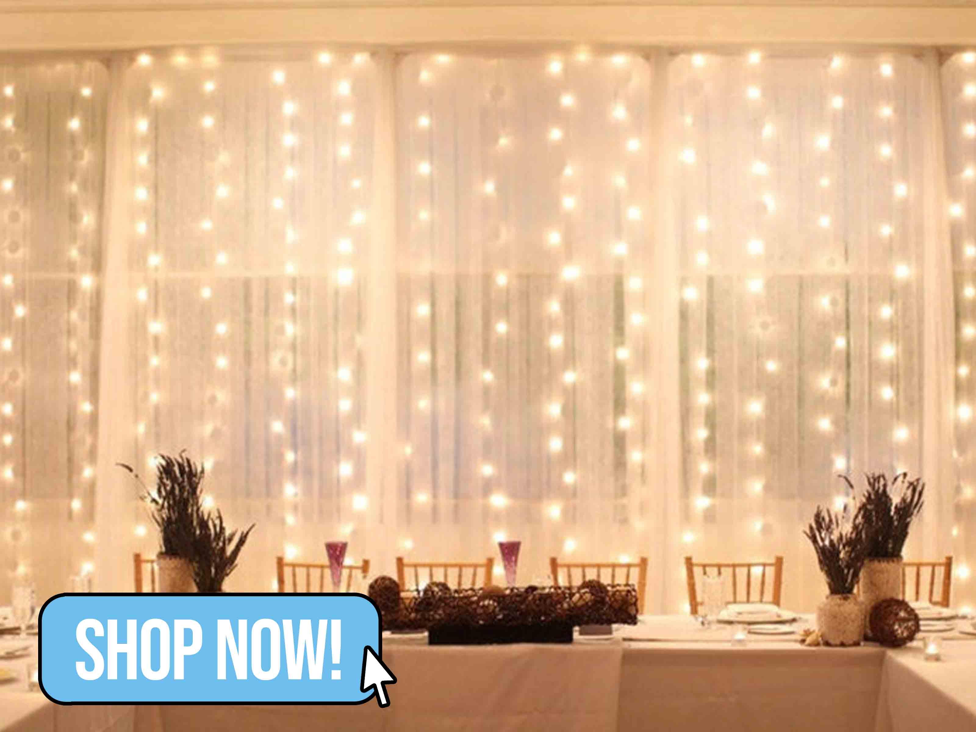 LED Window Curtain Lights - SupplyFlora