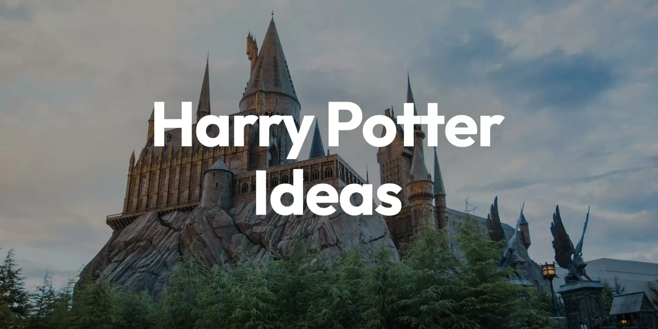 Harry Potter Hen Party