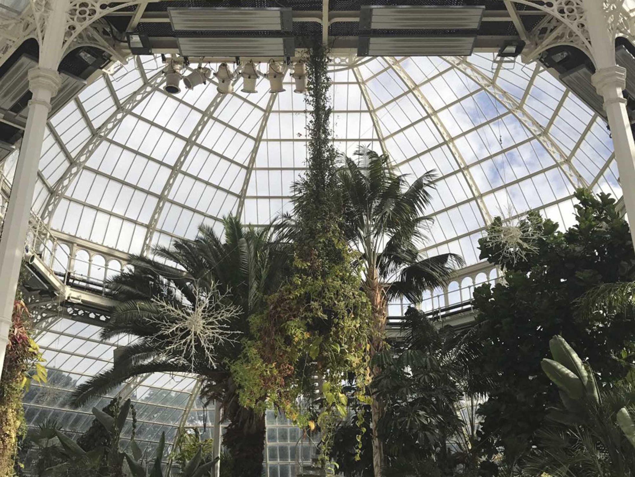15 Large Christmas Party Venues in the North West - Palm House at Sefton Park (Liverpool)