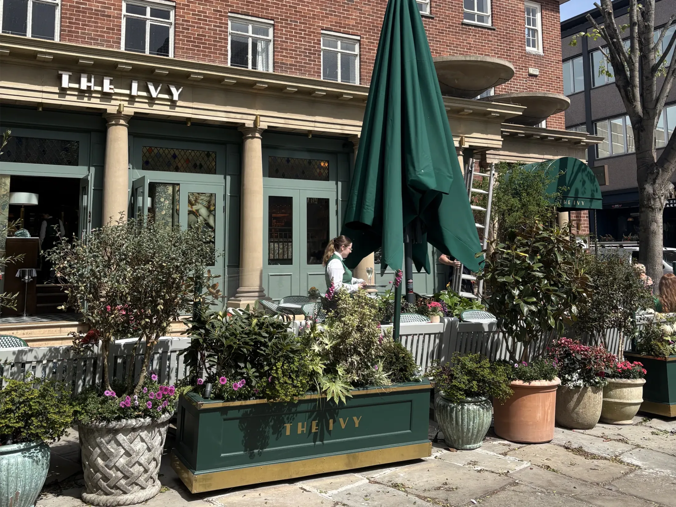 The Ivy - Best Bars in Chester