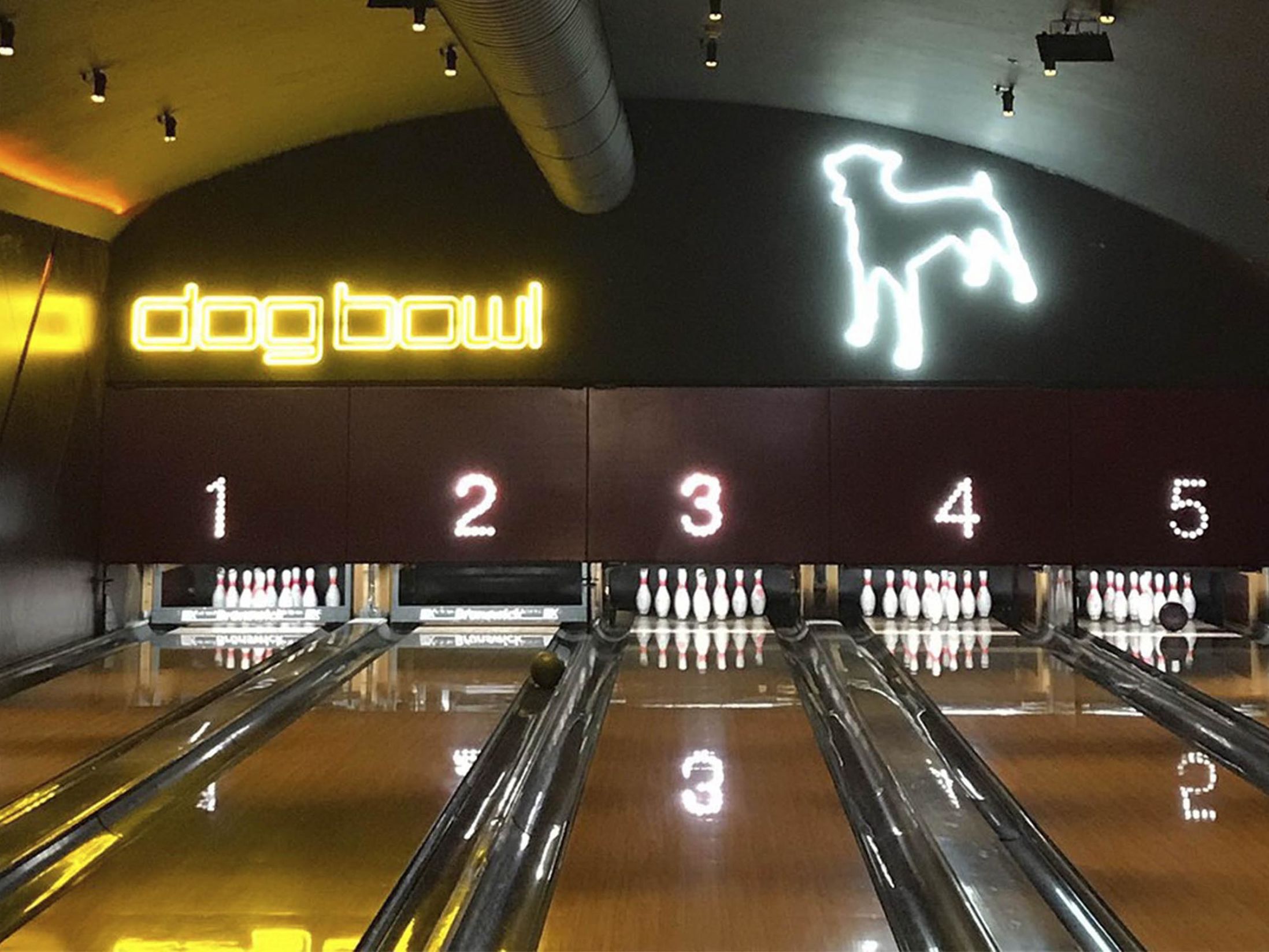 Dog Bowl - Best Bars in Manchester