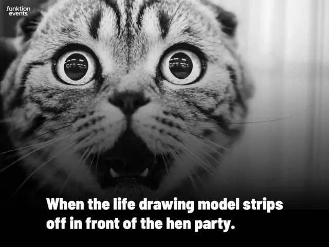 When the life model strips in front of the hen party - Meme 10