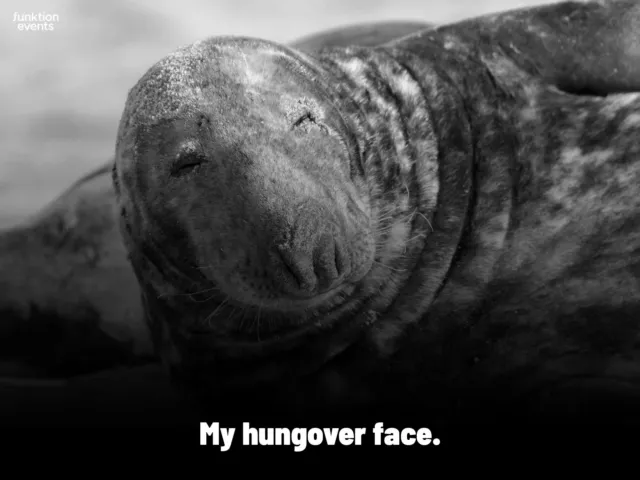My hungover face - Meme 7