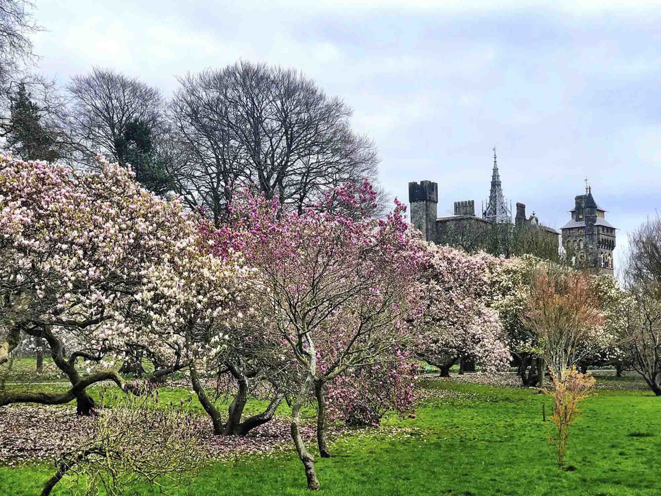 Things to do in Cardiff - Bute Park