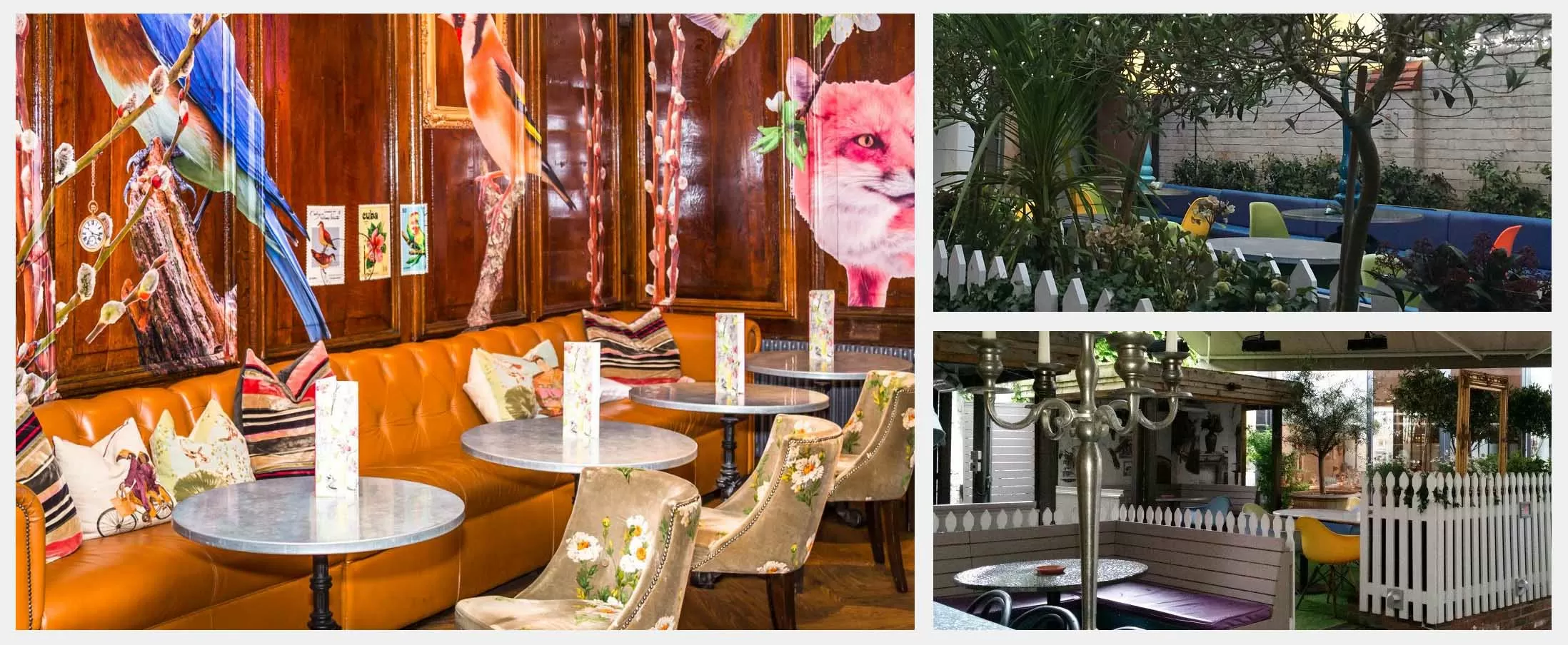 Best Beer Gardens in Chester - Oddfellows Chester