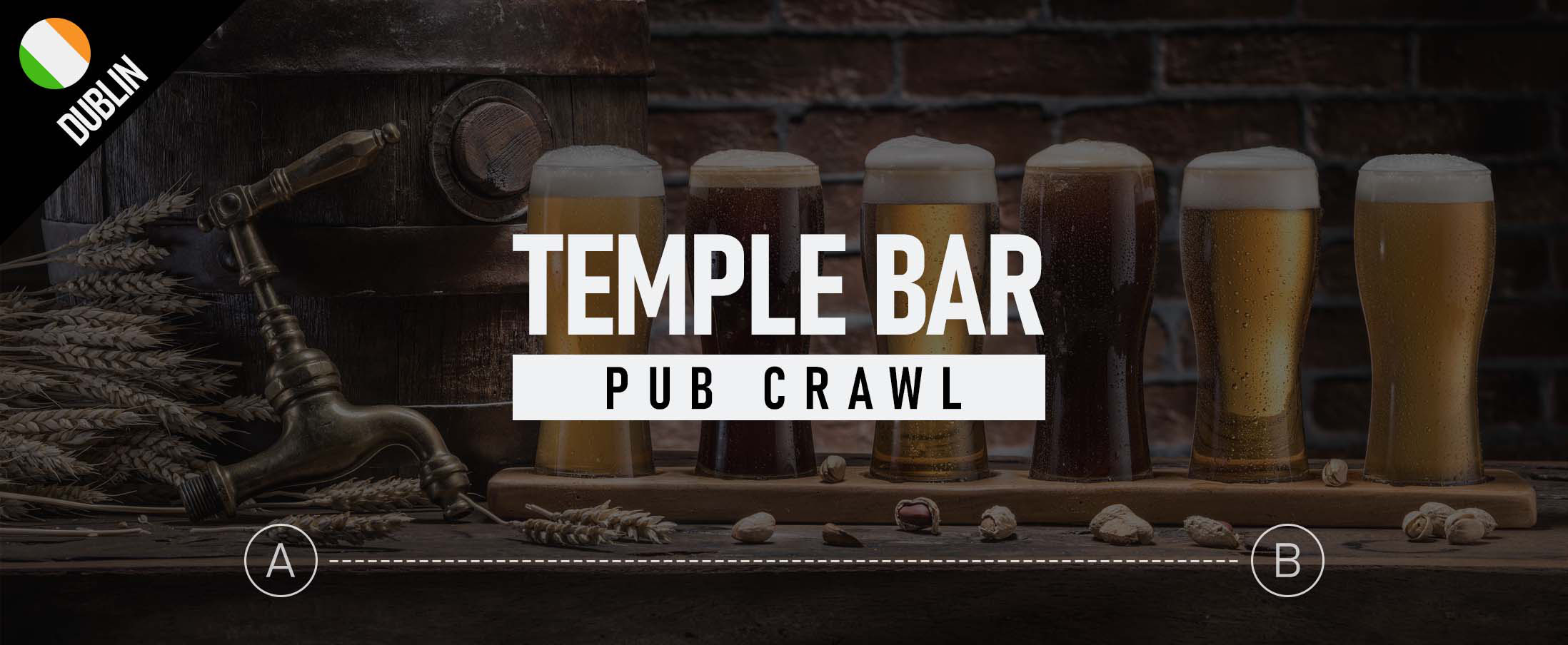 Temple Bar Pub Crawl 