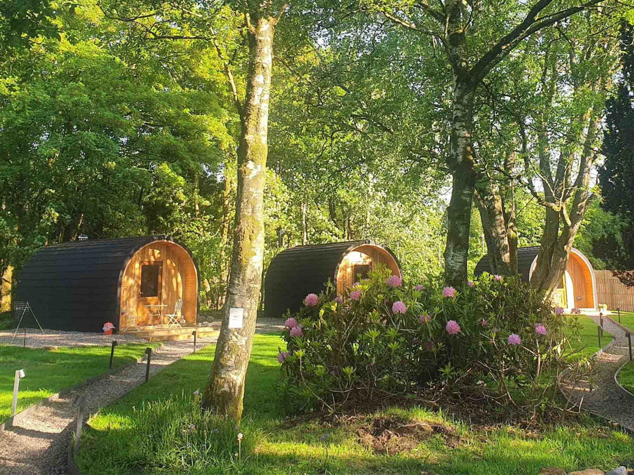 Wilding on a Whim - Hen Party Glamping