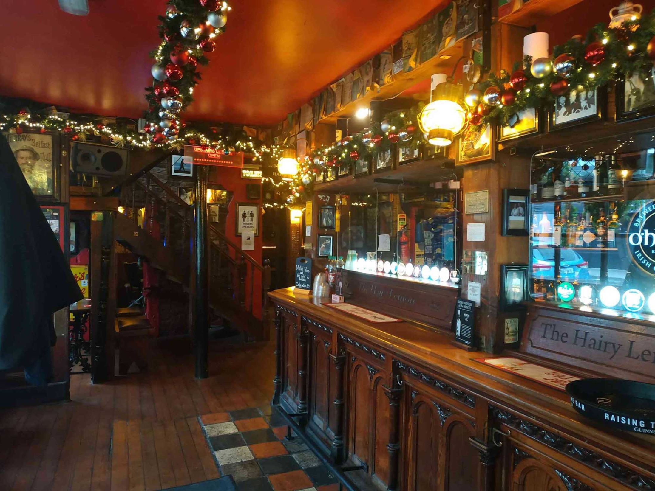 The Hairy Lemon - Best Bars in Dublin