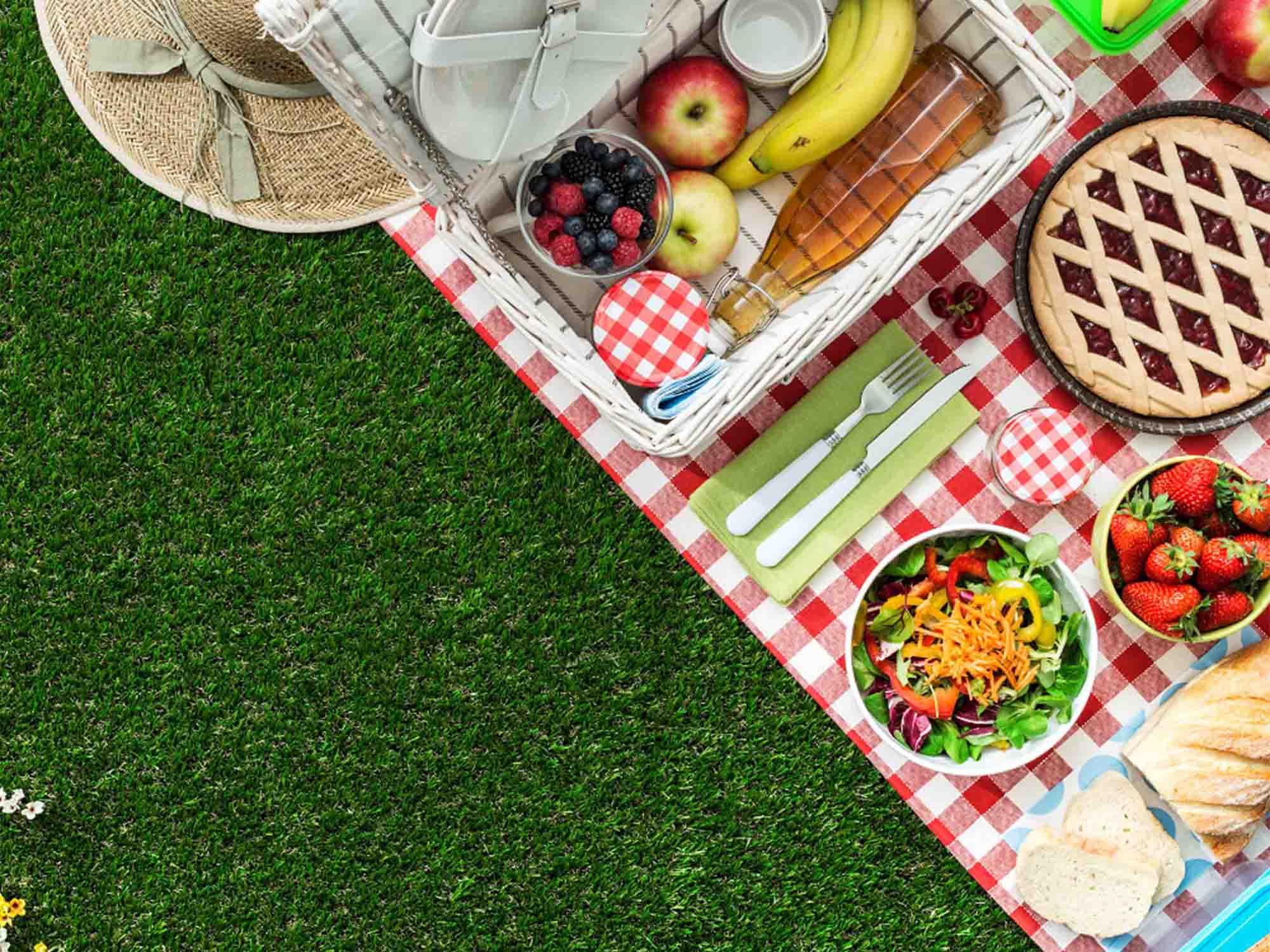 How to Make the Most Out of Fathers Day - Picnic