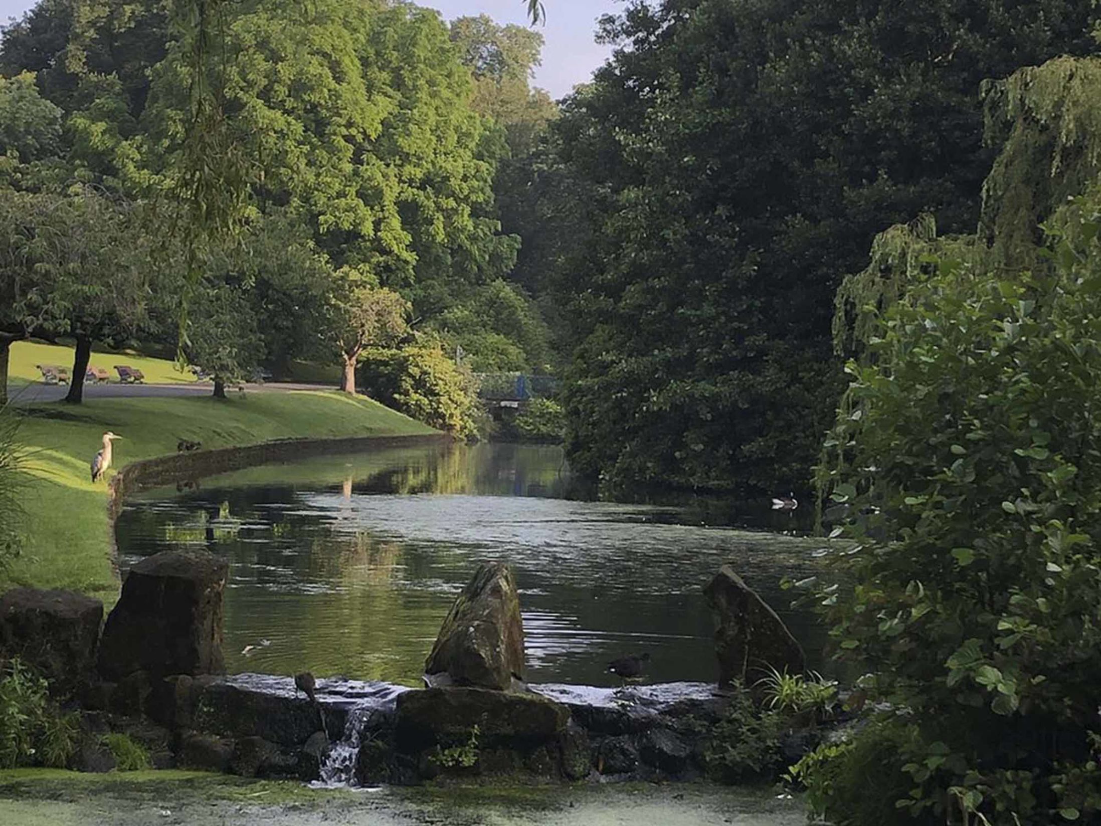 Things to Do in Liverpool - Sefton Park
