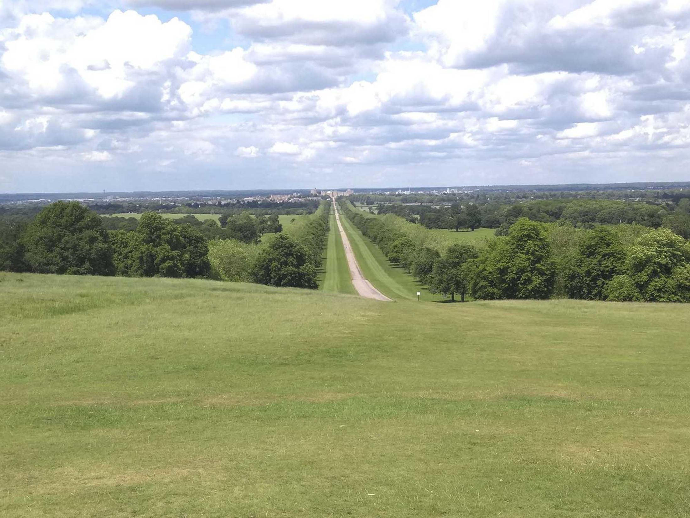 Things to do in Windsor - Windsor Great Park