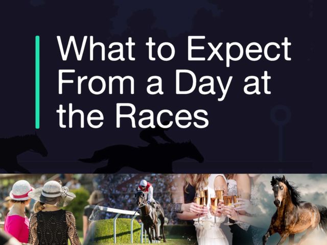 What to Expect from a Day at the Races