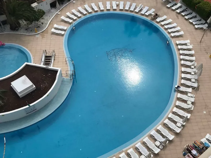 Tenerife Palm Beach Aerial View Pool