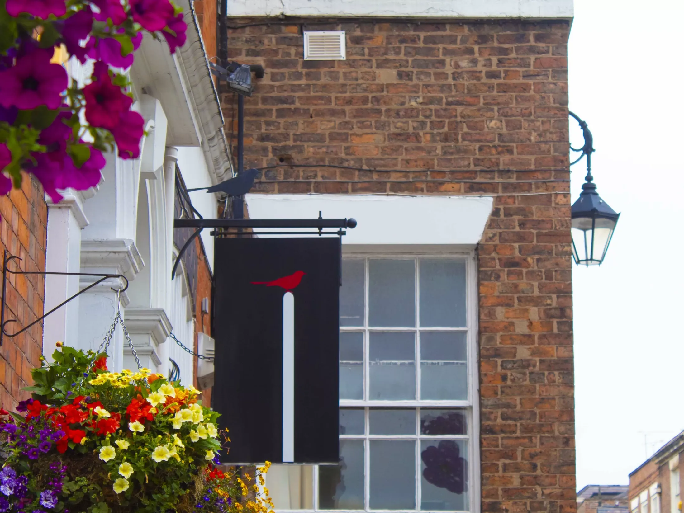 Kuckoo - Best Bars in Chester