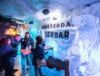 Ice Bar Entry Activities