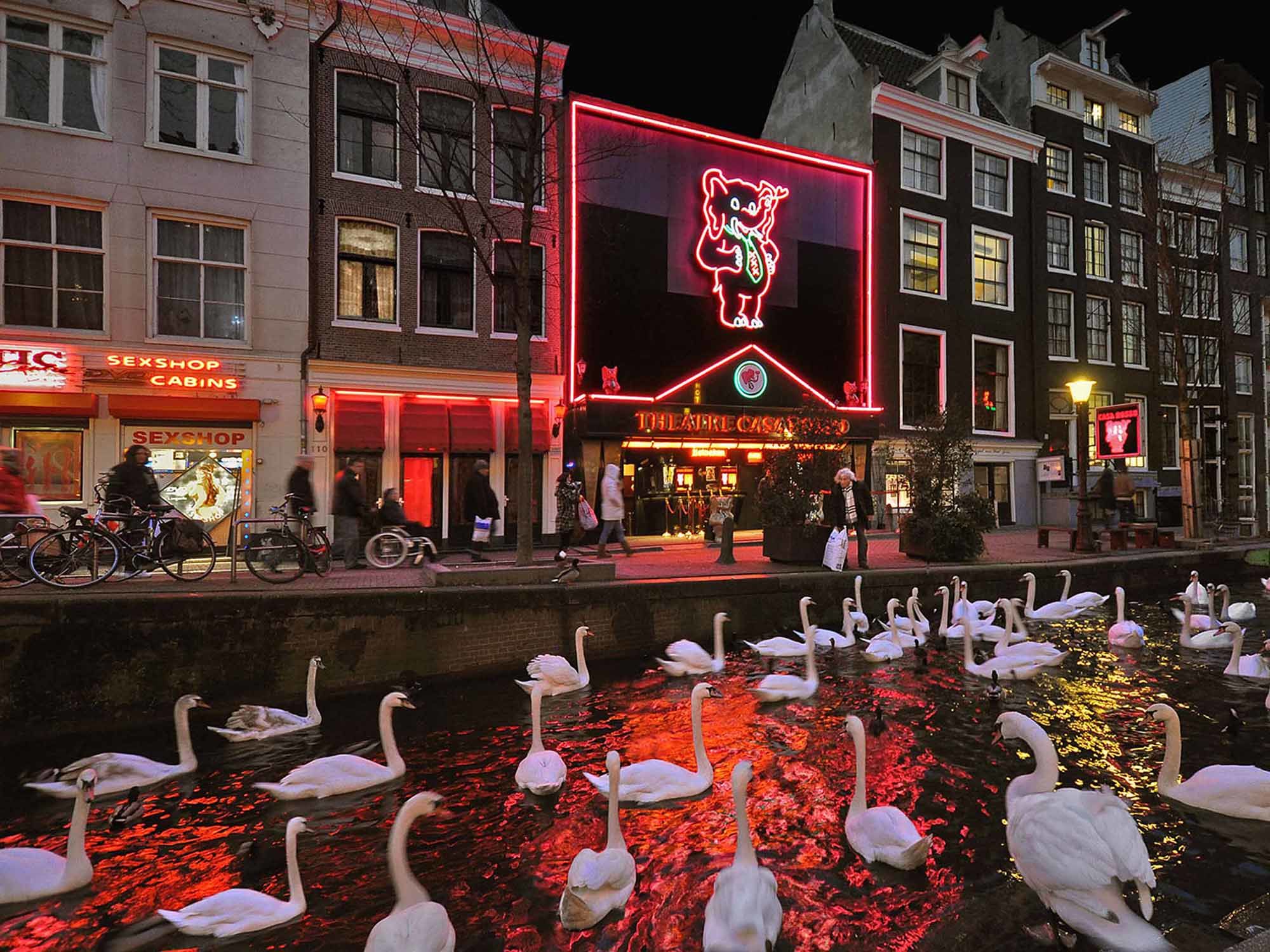 What Are the Reasons to Visit Amsterdam?