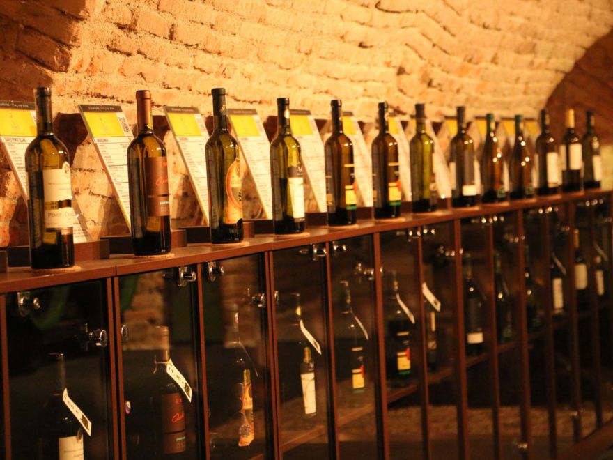 Wine Tasting Bratislava