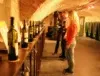Wine Tasting Bratislava Experience