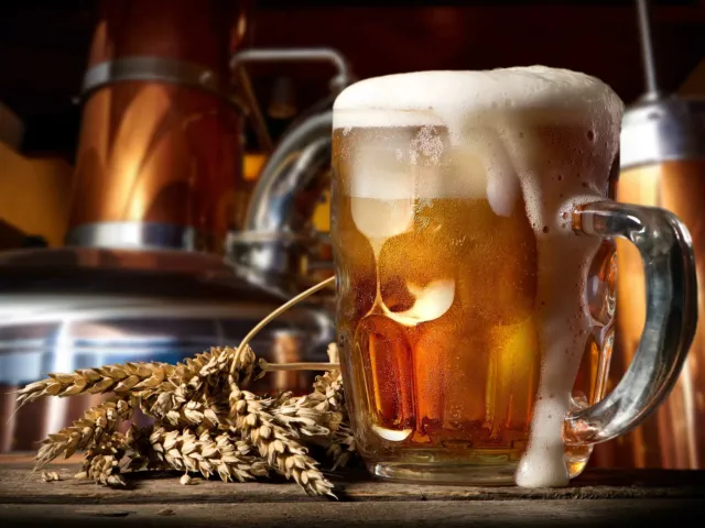 Brewery Tour & Beer Tasting