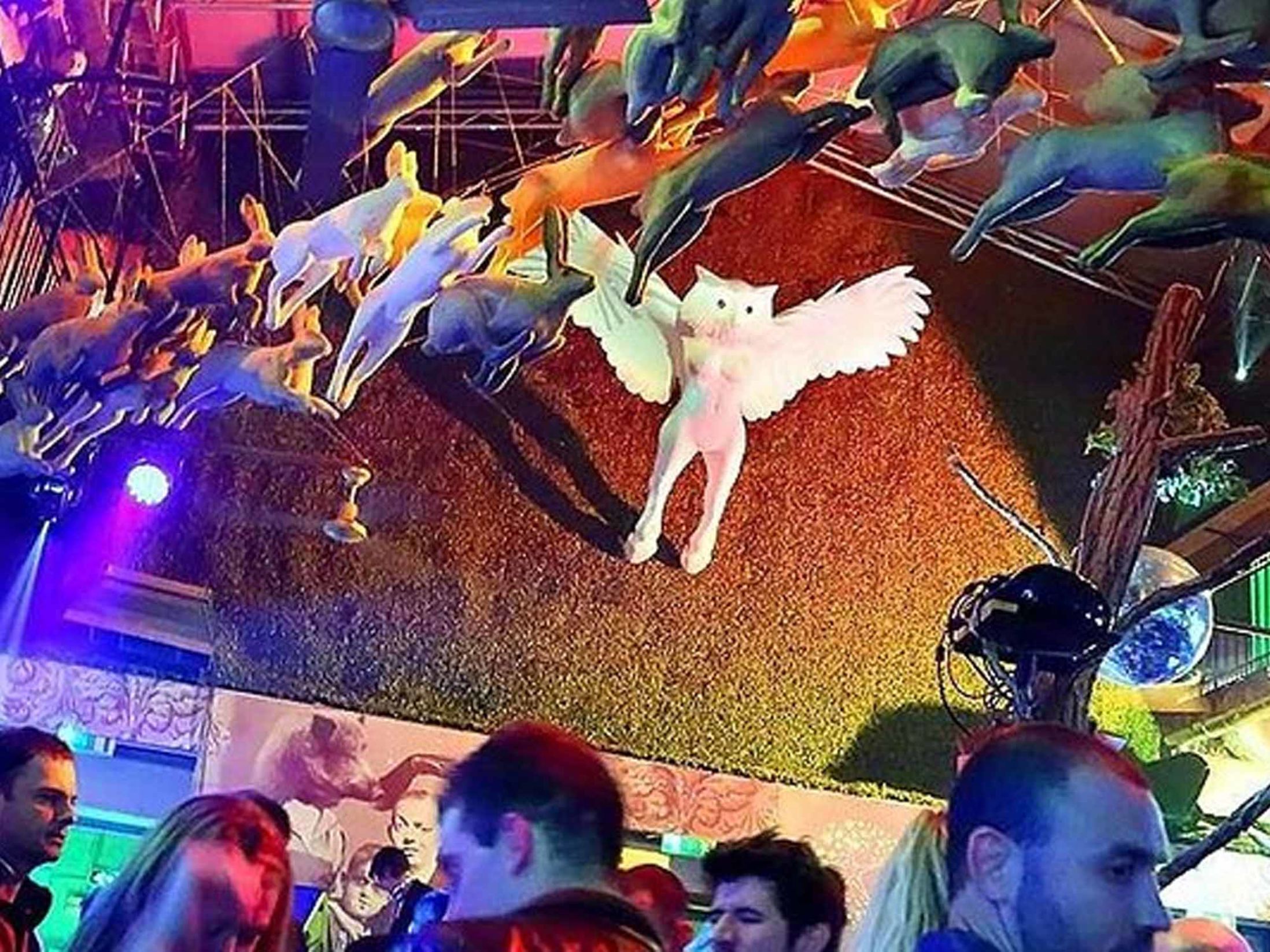 Why Plan a Stag Do in Budapest?