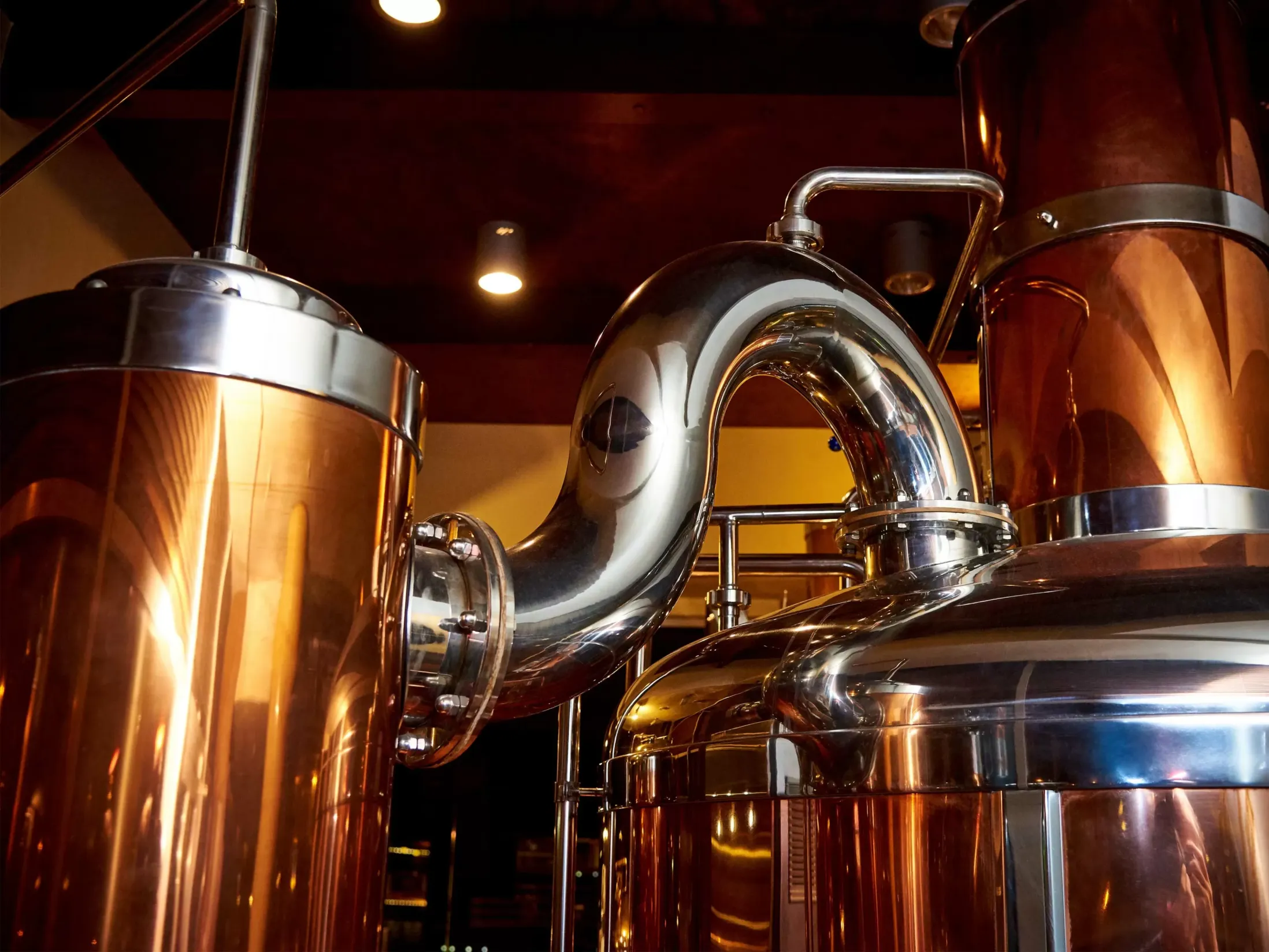  What Are the Reasons to Visit Dusseldorf?