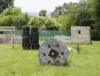 Deluxe Outdoor Paintballing Experience
