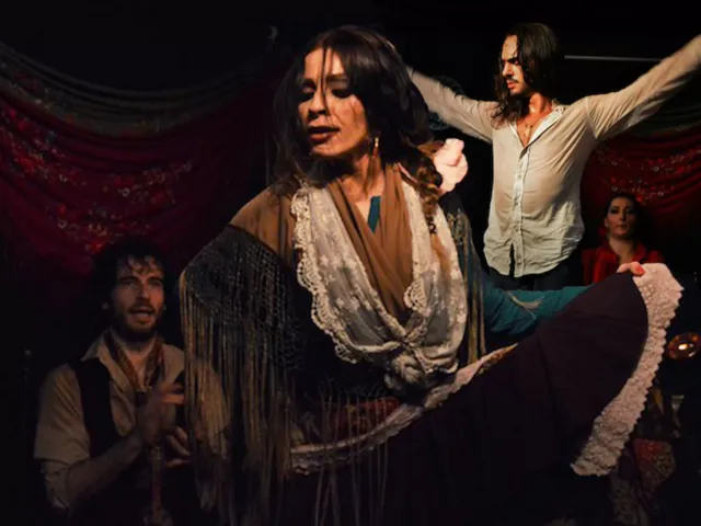 Flamenco Show & Dinner