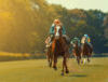 Horse Racing Experience