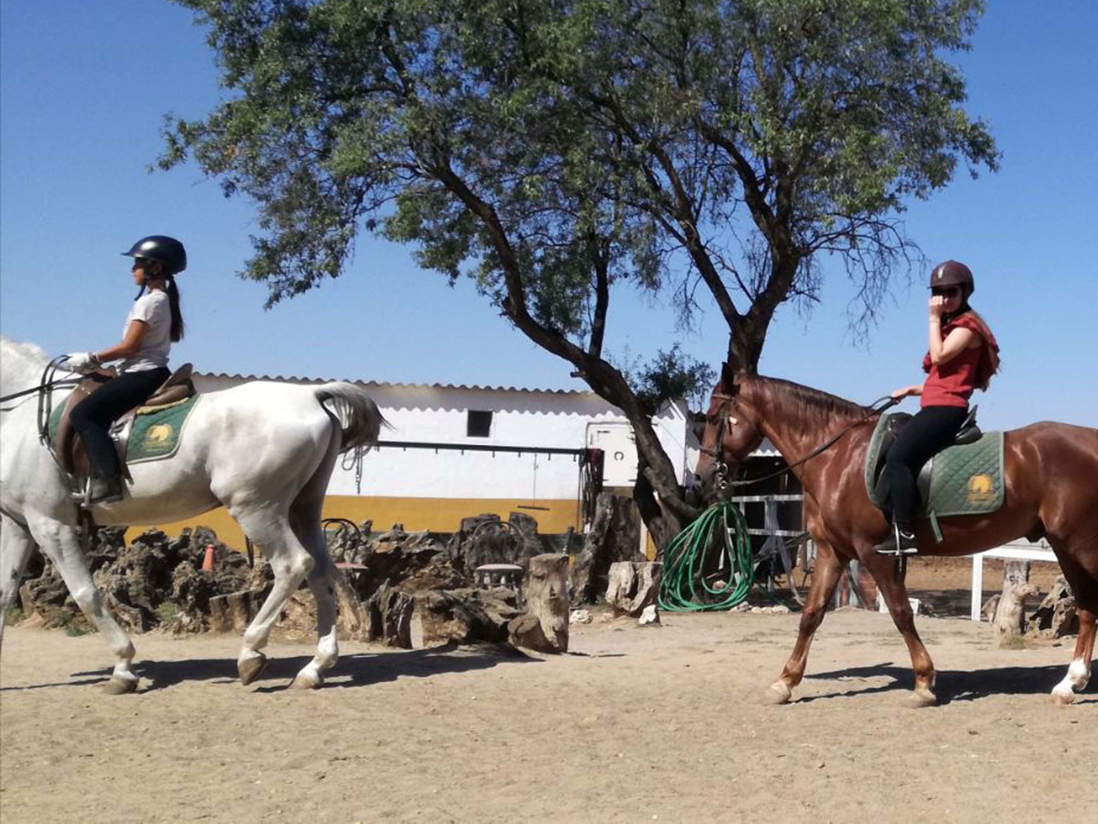 What Are the Reasons to Visit Madrid?