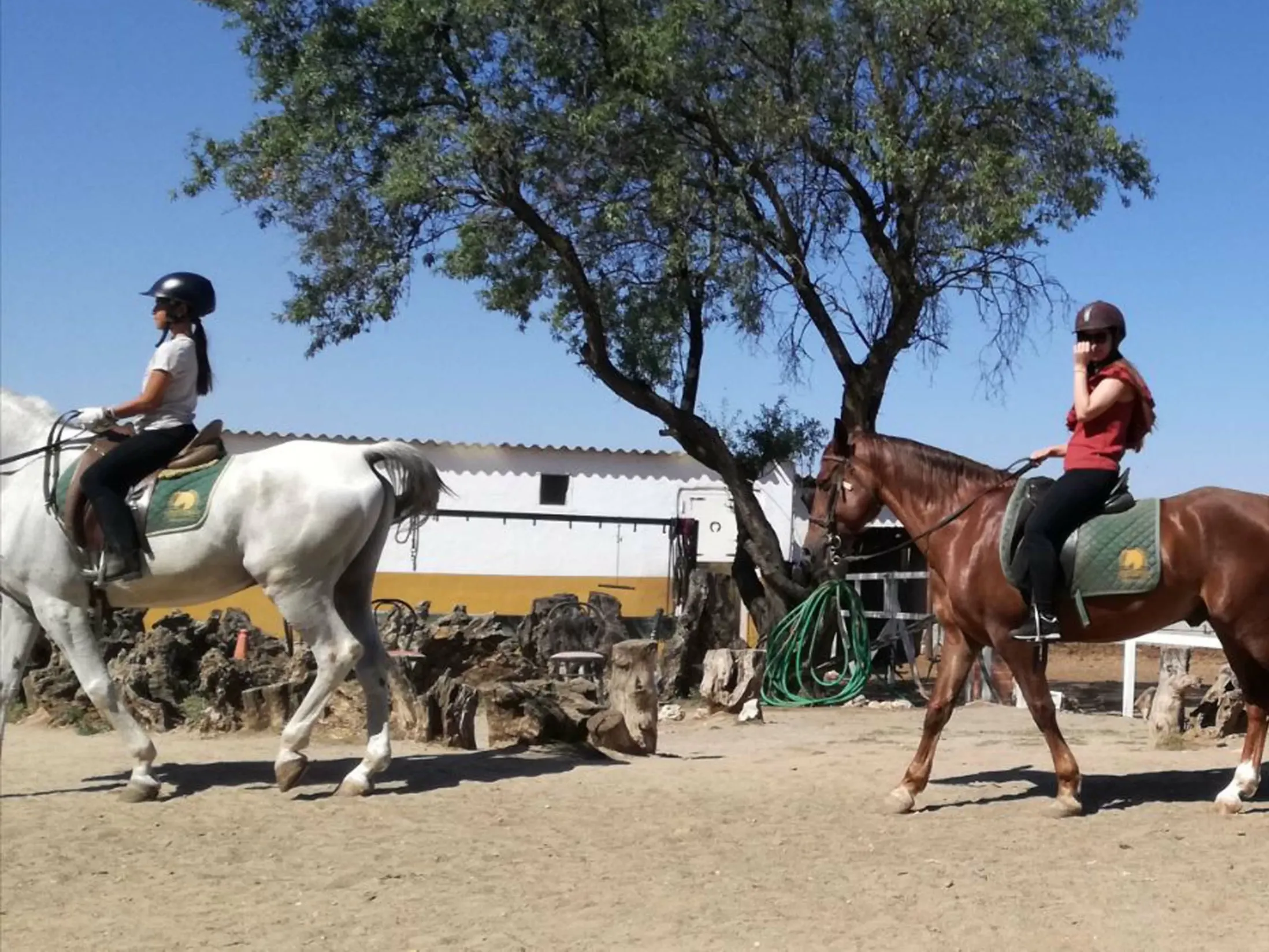 What Are the Reasons to Visit Madrid?