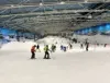 Indoor Skiing