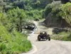 Buggy Safari Experience