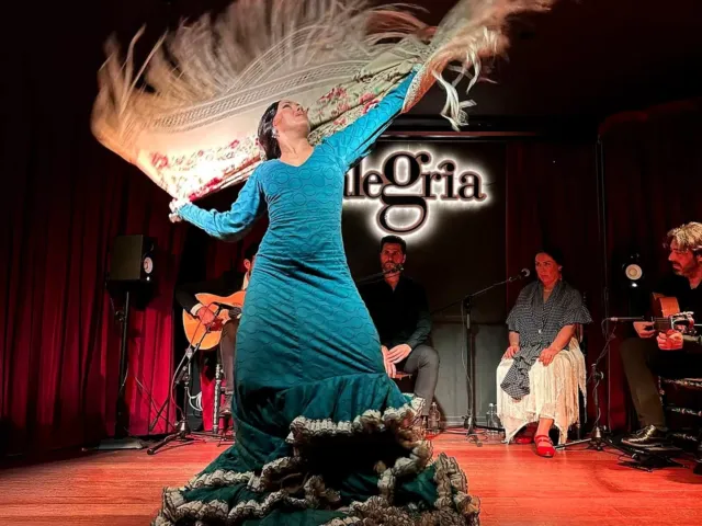 Flamenco Dinner and Show