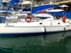 Catamaran Cruise Experience
