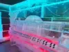 Ice Bar & Club Entry Experience