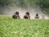 Quad Biking Experiences