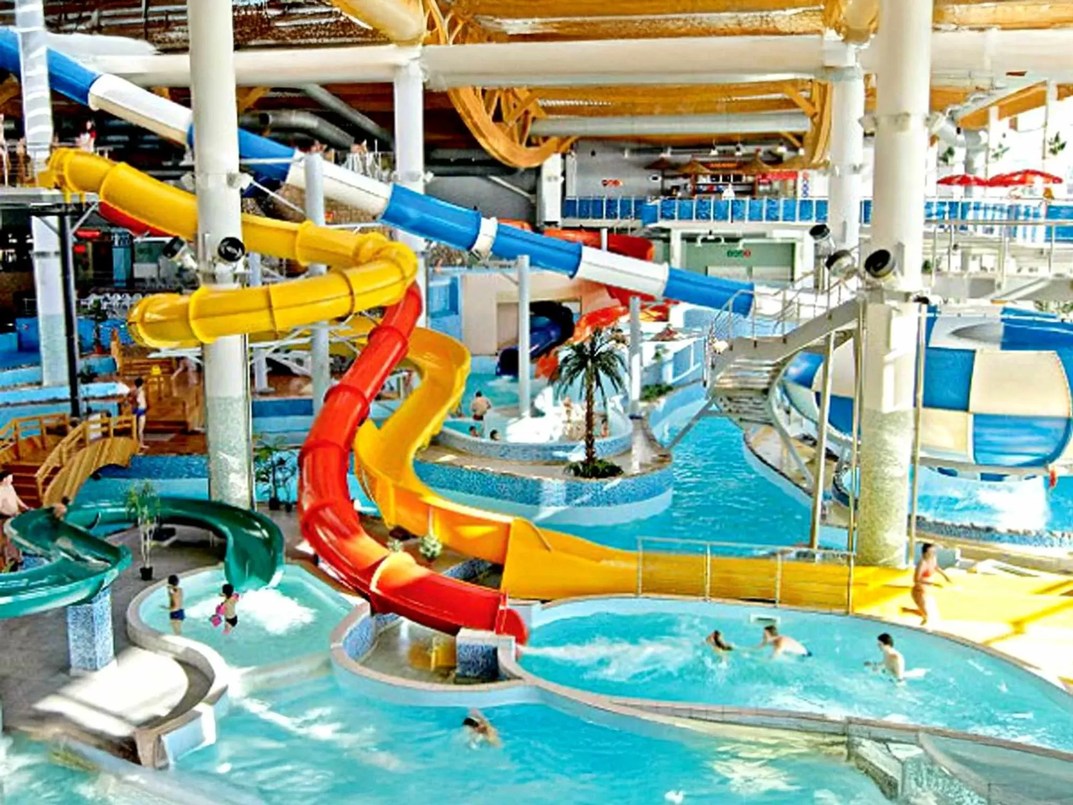 What Can a Riga Stag Do Offer?