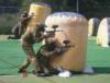 Paintballing Riga Events