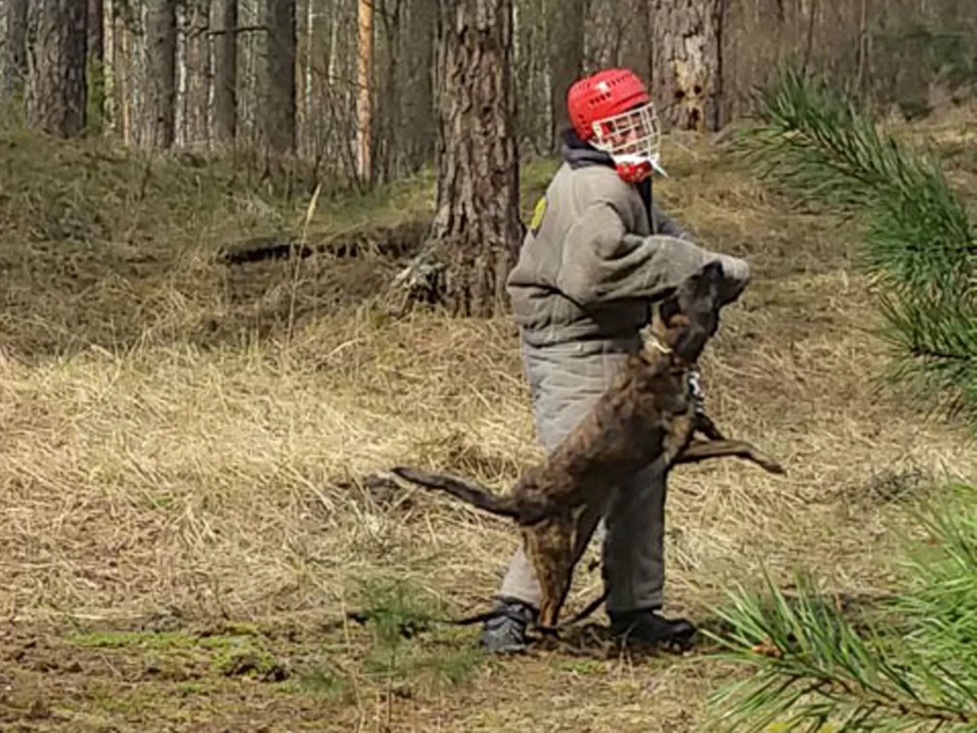 Dog Attack Stag Do Prank Riga