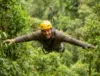 High Ropes Course Challenge