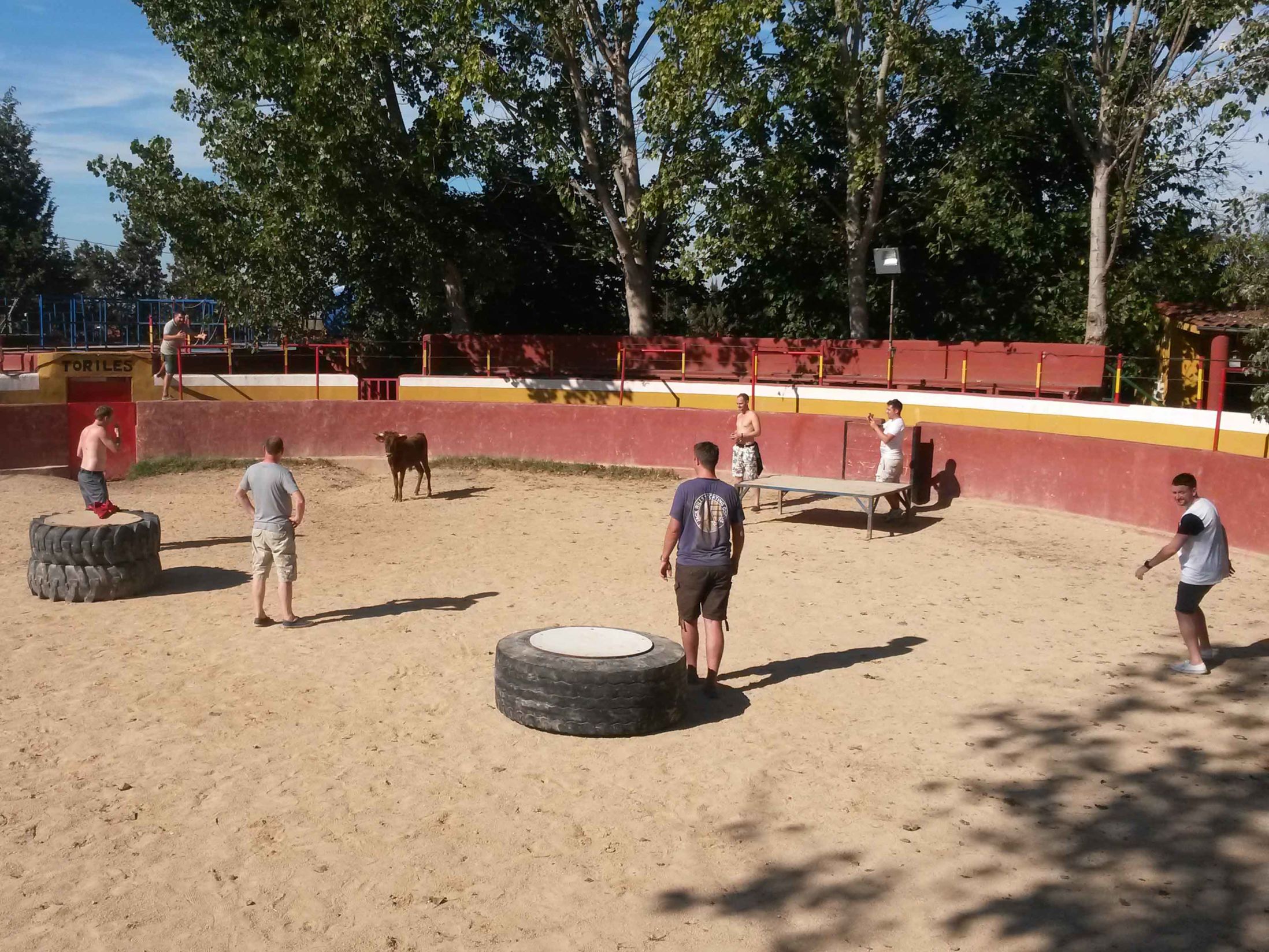 Getting the Most Out of Your Valencia Stag Do