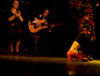 Flamenco Show & Dinner Activity