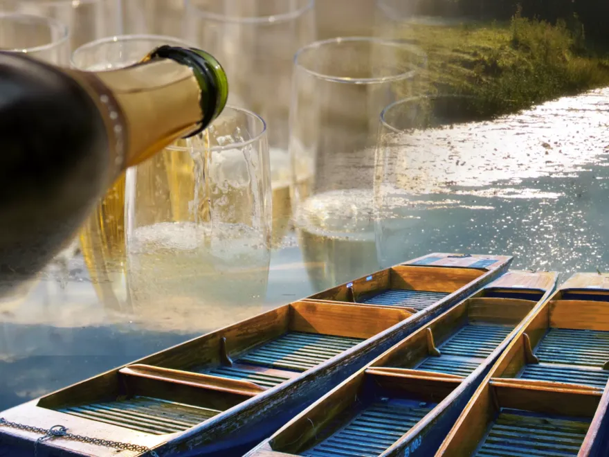 Champagne Punting