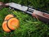 Clay Pigeon Shooting Event