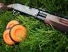 Clay Pigeon Shooting Event