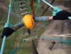 High Ropes Course Experience